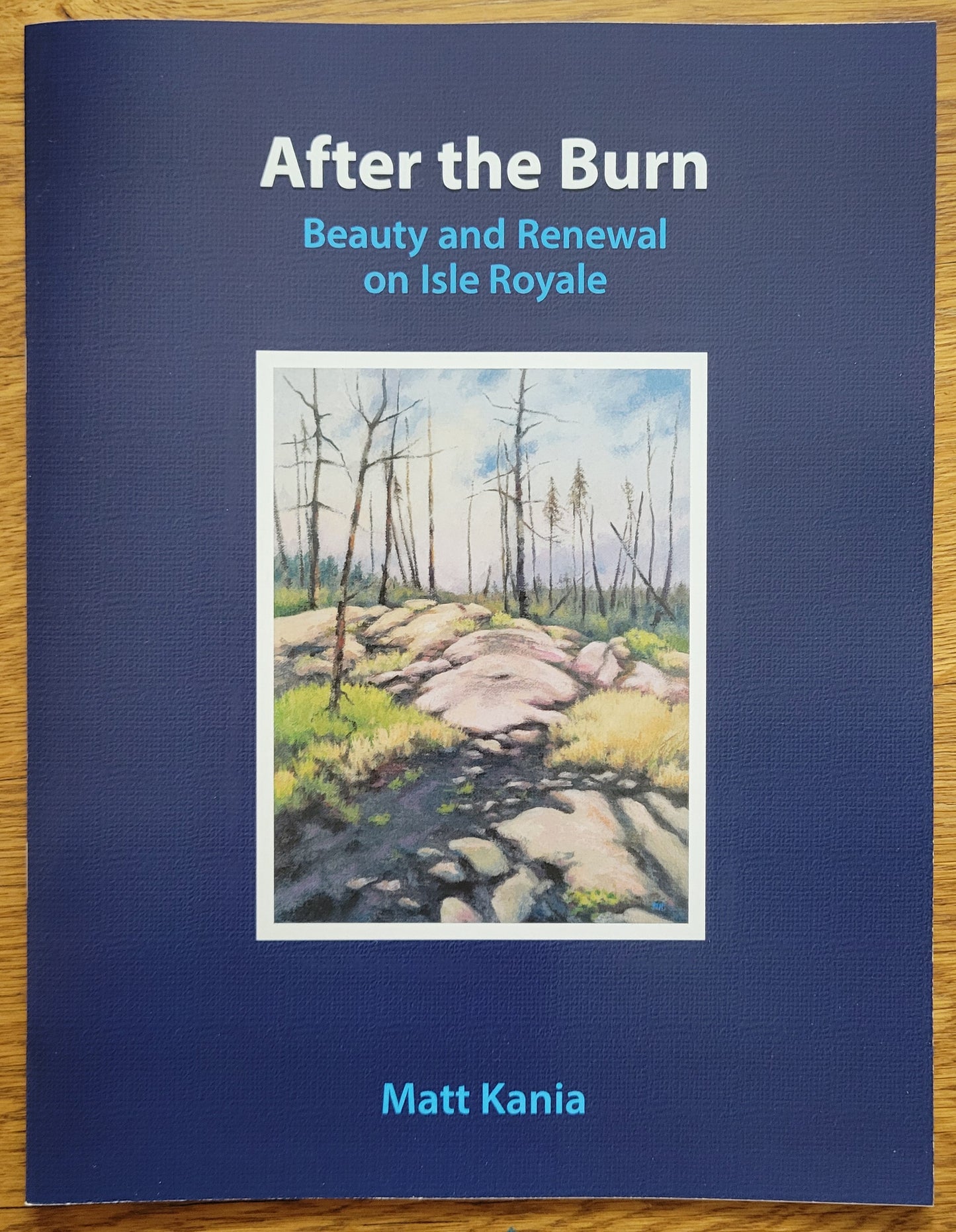 0002 After The Burn