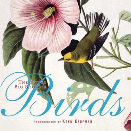 0258 Little Big Book of Birds