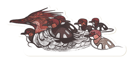 1583 - Merganser Family sticker