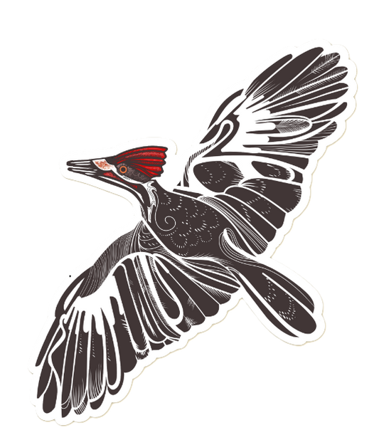 1584 - Pileated Woodpecker sticker