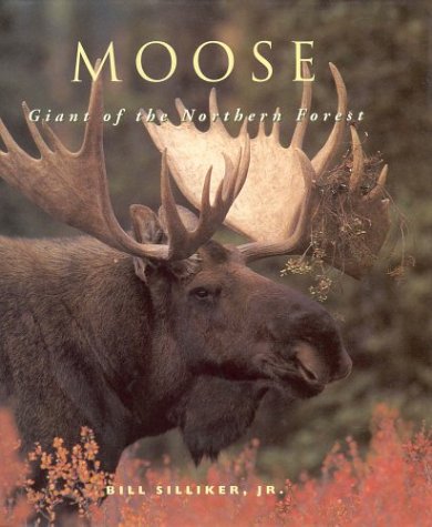 0318 Moose: Giant of the Northern Forest