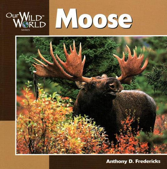 0317 Our Wild World--Moose