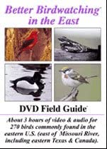 0649 Better Birdwatching East DVD