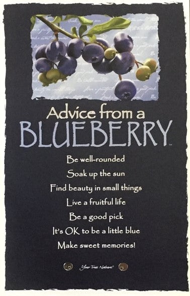 0991BB Advice from a blueberry Postcard