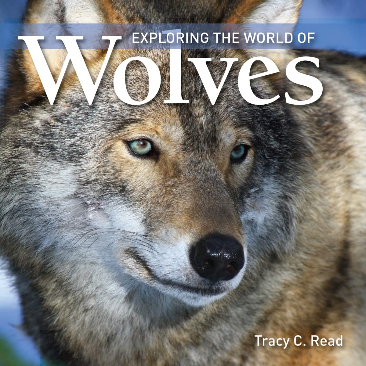 0119 Exploring the World of Wolves
