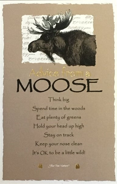 0991M Advice from a Moose Postcard