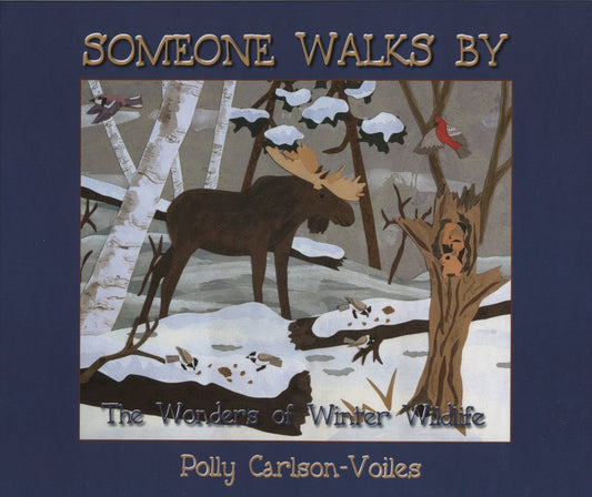 0471 Someone Walks By
