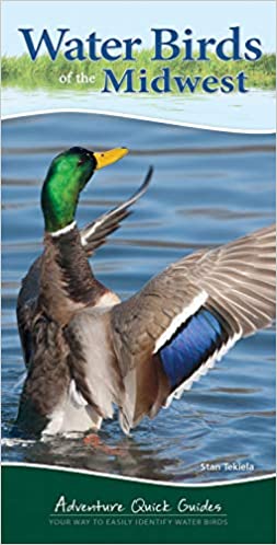 0909 Water Birds of the Midwest